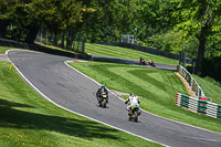 cadwell-no-limits-trackday;cadwell-park;cadwell-park-photographs;cadwell-trackday-photographs;enduro-digital-images;event-digital-images;eventdigitalimages;no-limits-trackdays;peter-wileman-photography;racing-digital-images;trackday-digital-images;trackday-photos